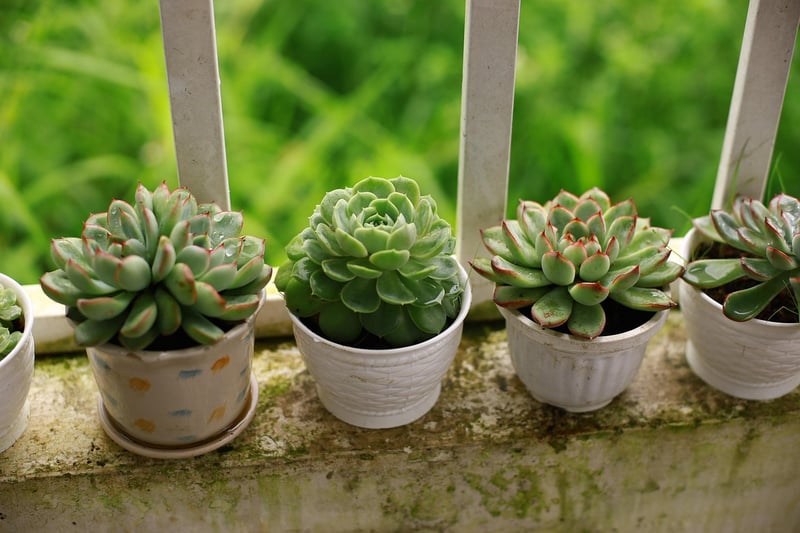 Balcony Garden Styles