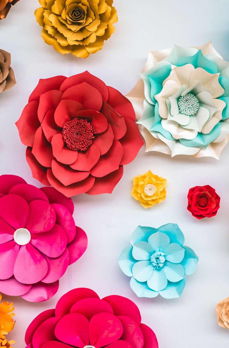 Creative Plant Arrangements