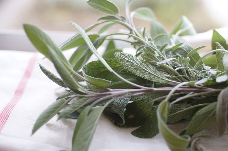 Container Herb Garden